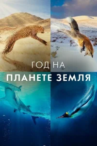 Год на планете Земля (2022)