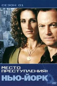 CSI: Место преступления Нью-Йорк (1-9 сезон)