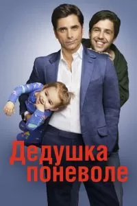 Дедушка поневоле (2015)