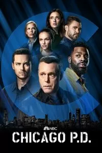 Полиция Чикаго (1-11 сезон)