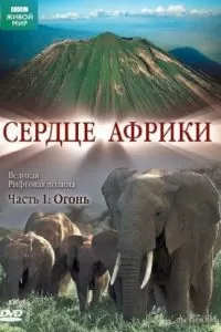 BBC: Сердце Африки (2010)