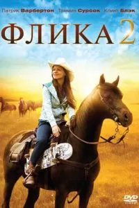 Флика 2 (2010)