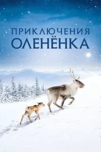 Приключения олененка (2018)