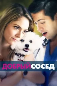 Местный Герой (2017)