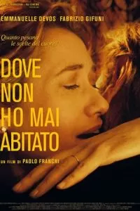 Dove non ho mai abitato (2017)