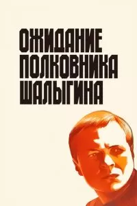 Ожидание полковника Шалыгина (1981)