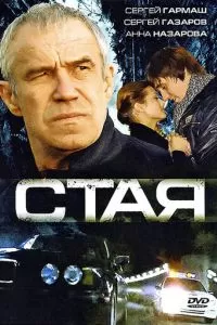 Стая