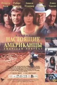 Американское совершенство (1997)