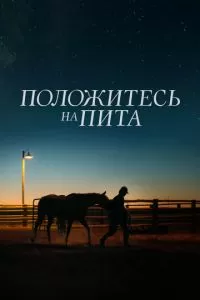 Положитесь на Пита (2017)