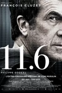 11.6 (2013)