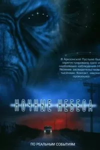 Ночные небеса (2007)