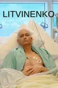 Литвиненко (1 сезон)