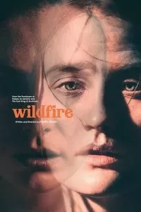 Лесной пожар (2020)