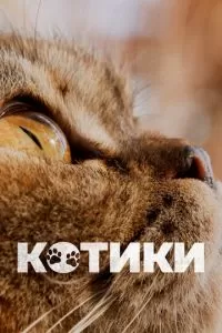 Котики (2022)