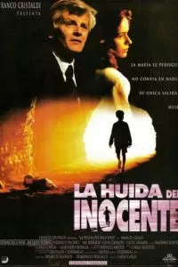 Побег невиновного (1992)