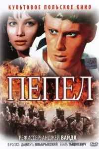 Пепел (1965)