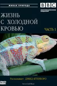 BBC: Жизнь с холодной кровью (2008)