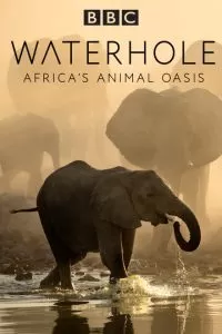 Водопой: Африканский оазис для животных (2020)