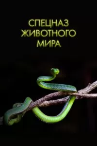 Спецназ животного мира (2018)